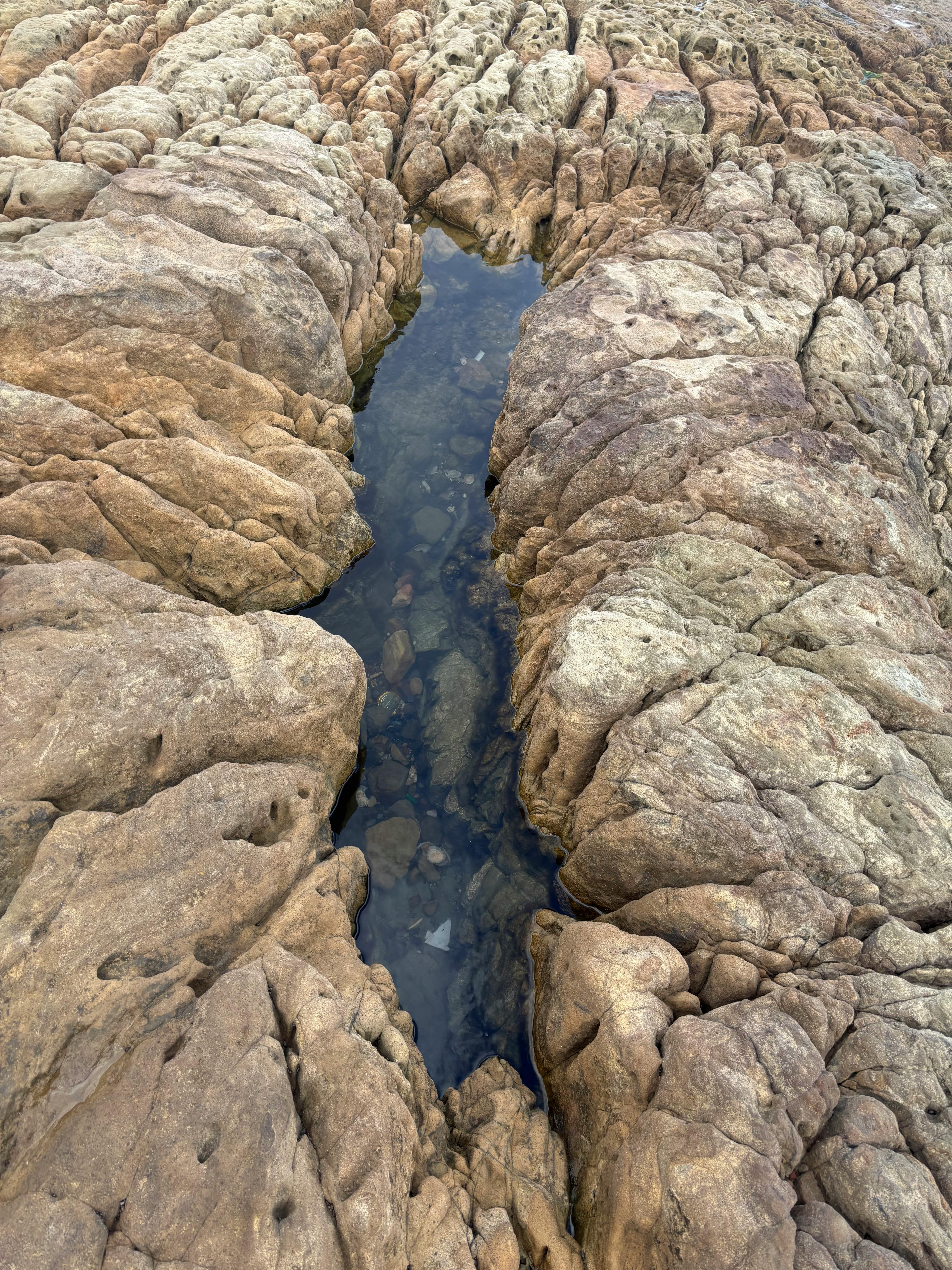Gold panning in Perthshire
